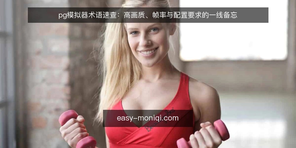 pg模拟器术语速查:高画质、帧率与配置要求的一线备忘 — 现场需盯住的信号词条 配图